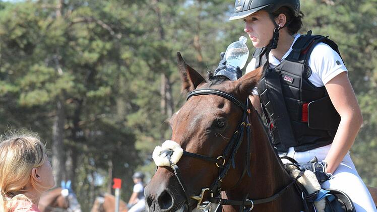 Blick auf das Turniergeschehen beim RFV Sulzthal. Foto: ssp