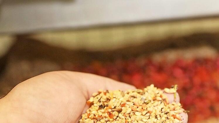 Was bleibt übrig bei der Hiffenmark-Produktion? Die kleinen Kerne der Früchte, mancher kennt sie aus Kindheitstagen als "Juckpulver".
