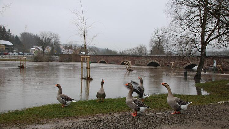Da hilft auch kein Schnattern: Auch in Euerdorf ist "Land unter". Foto: Ralf Ruppert