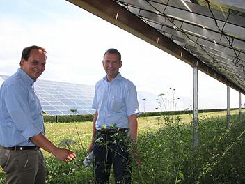 Florian Dittert und Klaus Waldera stehen in einem Biotop - mitten in einem Solarkraftwerk. Foto: Diana Fuchs