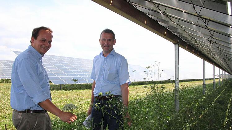 Florian Dittert und Klaus Waldera stehen in einem Biotop - mitten in einem Solarkraftwerk. Foto: Diana Fuchs