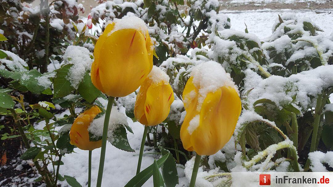 Franken: Ostermontag versinkt im Schnee