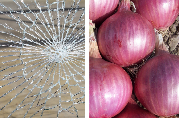 Kitzingen: Unbekannter wirft Zwiebel gegen Fenster - und verursacht Schaden im dreistelligen Bereich