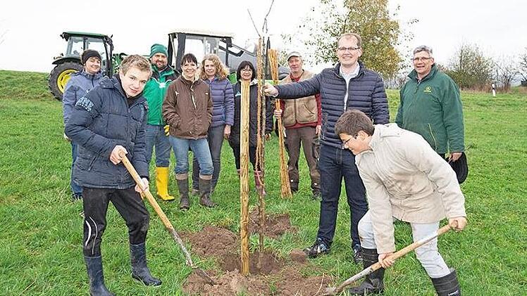 Eine zweite Reihe Obstbäume haben die Mitglieder des Gartenbauvereins Windischenhaig und Umgebung auf der städtischen Ausgleichsfläche am Ortseingang gepflanzt.  Foto: Jürgen Valentin