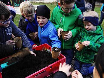 Die Gartensaison ist eröffnet: Paul Lateier, Tim Böhner, Lars Zimmermann, Leon und Robin Denk von der Jugendgruppe des Gartenbauvereins Hutschdorf sind bereit für den großen Kürbiswettbewerb. Foto: Peter May