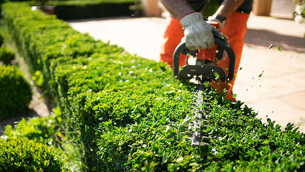 Gartenarbeit, Garten