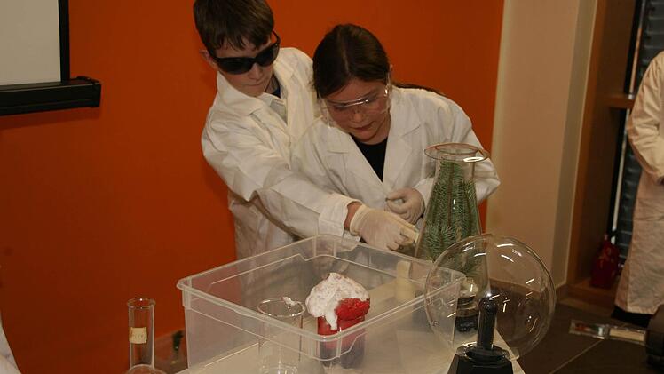 Mit wissenschaftlichen Experimenten haben die Eggolsheimer Grundschüler ihr Können unter Beweis gestellt. Foto: Sylvia Hubele