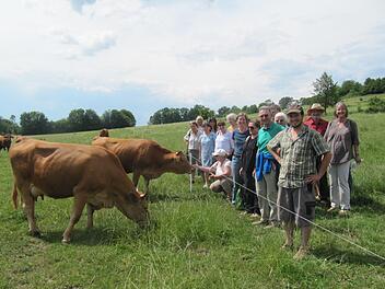 13 Rinder der Rasse "Fr&auml;nkisches Gelbvieh" sind nicht auf Hochleistung gez&uuml;chtet, grasen mit einem gro&szlig;en Auslauf friedlich auf der Weide und d&uuml;rfen ihre H&ouml;rner behalten. Auf dem Patersberghof  bem&uuml;he man sich besonders, allen Nutztieren ihrem Wesen gem&auml;&szlig;e sehr gute Lebensumst&auml;nde zu schaffen, was Betriebsleiter Christian Jundt (vorne) bei der Exkursion des Bund Naturschutz betonte.privat