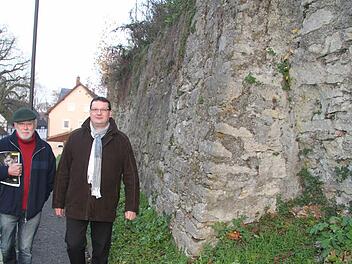 arteiübergreifend wollen Wolfgang Martin (SPD/OL, links) und Klaus Witzgall (CSU) das Thema Stadtmauer voran bringen - und regen eine Bestandsaufnahme der Schäden an. Fotos: Sonja Adam