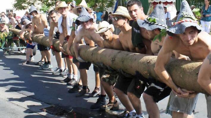 Mit vereinten Kräften und entblößten Oberkörpern hievten die Aischer Kerwaburschen die Fichte in die Senkrechte. Fotos: Sonja Werner