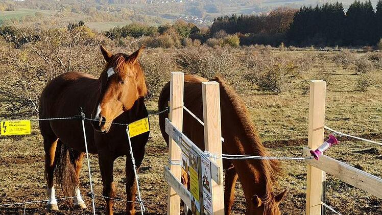 Nicht zu schmal, aber auch nicht zu breit darf der Durchgang zwischen den Gattern am Himmeldunkberg sein.  Das sorgt für Diskussionen. Foto: Marion Eckert