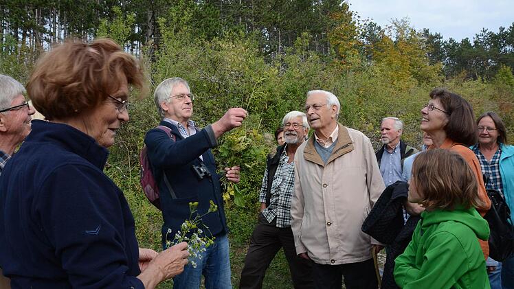 Gottfried Hummel und Sophie Rauschmann erläutern die Flora in und um die Weinberge. Fotos: Elisabeth Assmann