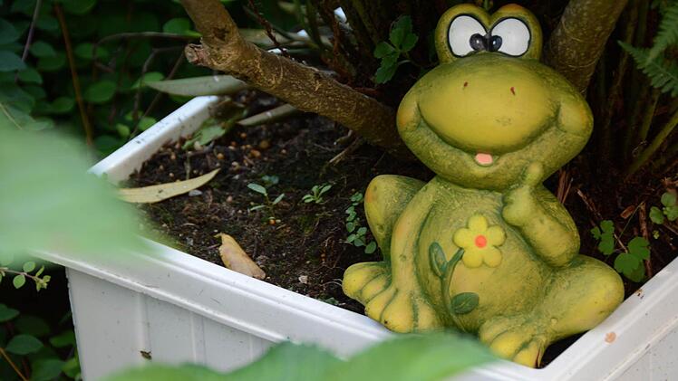 Der Traumgarten der Familie Müller in Kulmbach-Ziegelhütten.  Foto: Dagmar Besand