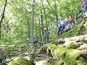 Ringen um Totholz. Naturschützer hätten gern mehr Stämme im Wald, die liegen bleiben, bis Pilze und Mikroorganismen sie zersetzt haben. Waldbauern sehen da einen entgangenen Gewinn - der kann durch Fördermittel ausgeglichen werden. Foto: Rainer Lutz