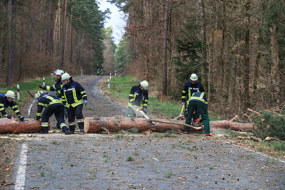 Sturm über Franken hinterlässt Schäden
