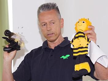 Die Unterschiede zwischen Honig- (rechts) und Wildbiene erläuterte den Prölsdorfer Kindergartenkindern Thomas Köhler vom Verein Artenschutz Franken.Sabine Weinbeer