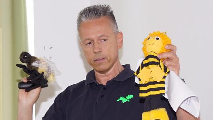Die Unterschiede zwischen Honig- (rechts) und Wildbiene erläuterte den Prölsdorfer Kindergartenkindern Thomas Köhler vom Verein Artenschutz Franken.Sabine Weinbeer
