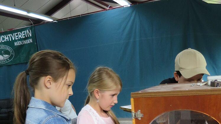 Eindrücke vom Ferienprogramm der Nüdlinger Kleintierzüchter.   Foto: Vanessa Gessner