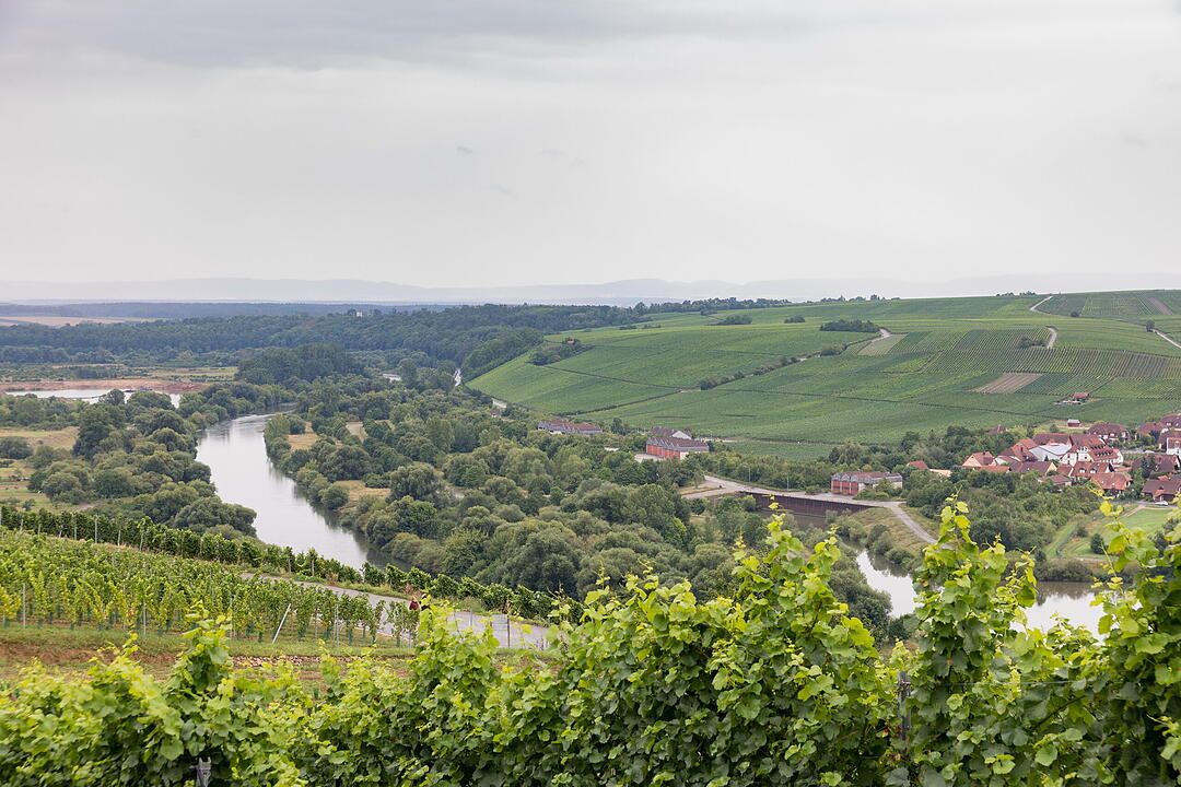 &Ouml;kowein-Pr&auml;sentation