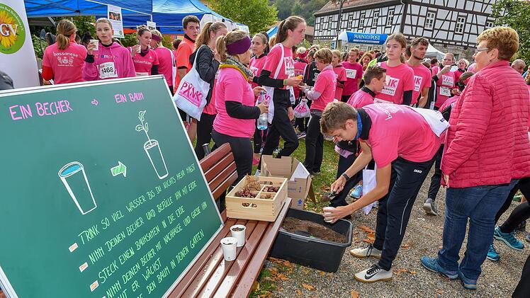 Pinklauf 2019 in Bad Brückenau Foto: Ronald Rinklef
