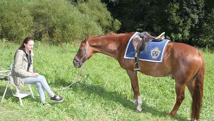 In den Drehpausen darf das Pferd aus dem Gestüt Gundermann in Mitwitz in aller Ruhe grasen...