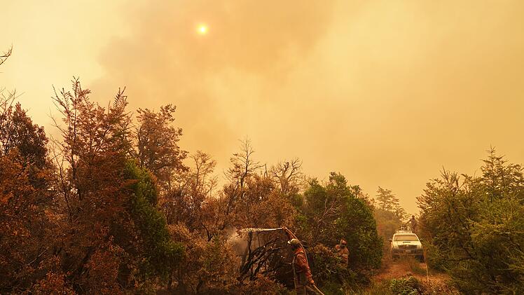 Waldbr&auml;nde in Argentinien