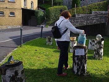 In Ludwigsstadt gibt es eine "Open Air-Schenkaktion". Auf Birkenstämmen hinter der Marienkapelle können überflüssig gewordene Dinge abgelegt werden. Wer sie braucht, kann sie kostenlos mitnehmen.  Foto: Heike Schülein