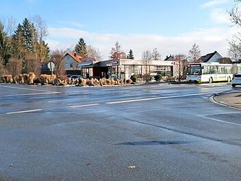 Die Kreuzung im Westen von Neunkirchen ist für Fußgänger und Radfahrer gefährlich, aber auch für Autofahrer.