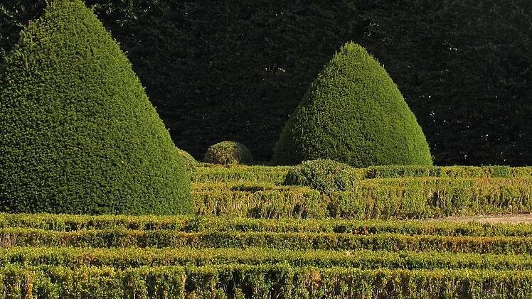 https://pixabay.com/de/garten-franz%C3%B6sisch-burg-buchsbaum-897585/