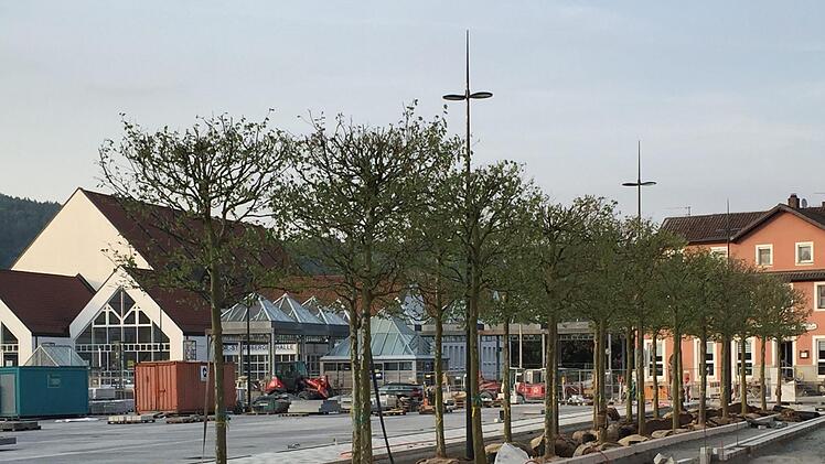 In  einem Monat soll auf der Baustelle Zentralparkplatz schon der Bierfest-Aufbau beginnen. Die sogenannte Baum-Arkade wurde mit 24 Platanen bereits angelegt. Foto: Stephan Tiroch