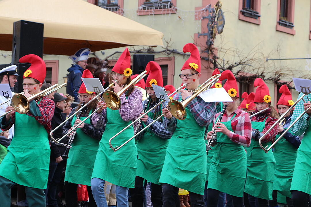 Kreisfaschingsumzug 2020