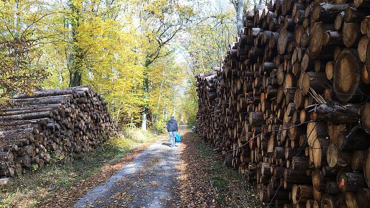 Die Holzpreise sind - vor allem für Fichte und Kiefer -  im Keller. Das wurde auch in der Sitzung des Ramsthaler Gemeinderates deutlich, wo AELF und der Revierleiter den Holzeinschlag der letzten Jahre sowie den Forstwirtschaftsplan vorstellten. Foto: Kerstin Väth (Archiv)
