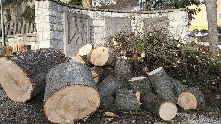 Die Linde am Kriegerdenkmal liegt bereits in kleinen Stücken zum Abtransport bereit.