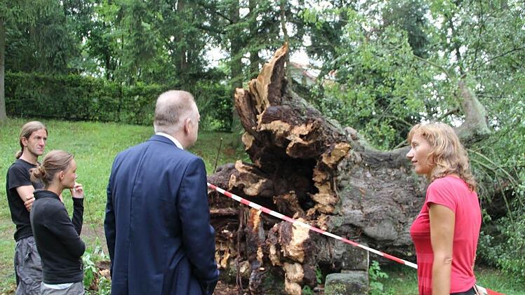 Elisabeth Mehler schlug Bürgermeister Helmut Blank vor, den Stamm der umgestürzten Linde als Naturdenkmal im Park zu belassen. Auch die Familie Bier unterstützt diese Idee.