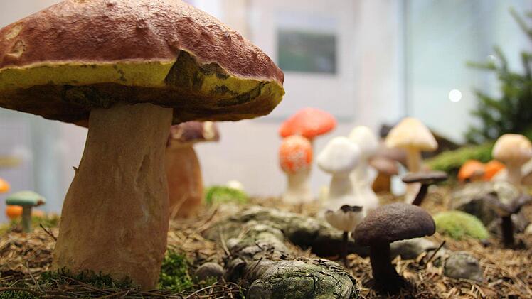 Ein Steinpilz mit Wasser-im-Mund-zusammenlauf-Garantie - naturgetreu nachgebildet.