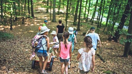 Waldführung für Kinder durch den Steigerwald Foto: Constanze Stern