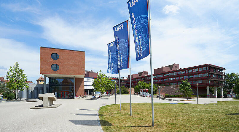 Universität Erlangen: Neue Heisenberg-Förderung für Professorin