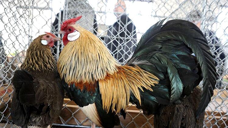 Foto: Richard Sänger