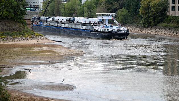 Das mit Sprintern beladene Frachtschiff