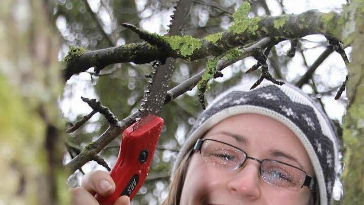 Weder Regen noch Kälte verderben der jüngsten Teilnehmerin des Frauen-Schnittkurses die Laune: Vera Schick aus Ziegelanger bei Zeil am Main setzt beherzt die Baumsäge an.  Fotos: Diana Fuchs