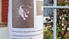 Foto: Christofzik
