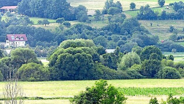 So liegt der Ortsausgang von Weilersbach vom obersten Geschoss des Verwaltungsgeb&auml;udes aus im Kirchehrenbacher Blickfeld. Zwischen den B&uuml;schen nach dem letzten Wohnhaus soll der neue Supermarkt gebaut werden. Foto: Pauline Lindner
