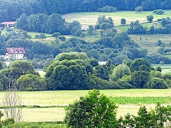 So liegt der Ortsausgang von Weilersbach vom obersten Geschoss des Verwaltungsgebäudes aus im Kirchehrenbacher Blickfeld. Zwischen den Büschen nach dem letzten Wohnhaus soll der neue Supermarkt gebaut werden. Foto: Pauline Lindner