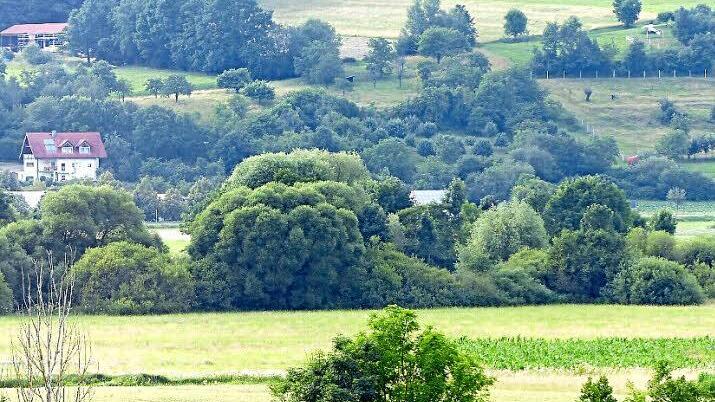 So liegt der Ortsausgang von Weilersbach vom obersten Geschoss des Verwaltungsgebäudes aus im Kirchehrenbacher Blickfeld. Zwischen den Büschen nach dem letzten Wohnhaus soll der neue Supermarkt gebaut werden. Foto: Pauline Lindner
