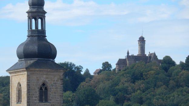 Auch vom Michelsberg betrachtet spitzen fast nur noch die Dächer der Altenburg über dem Waldsaum hervor. Ist es Zeit für eine Auslichtung?  Michael Wehner