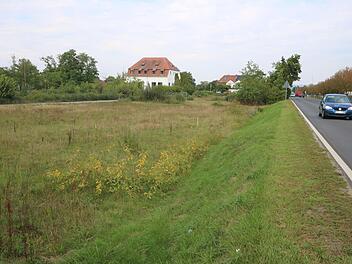 Foto: Ronald Heck