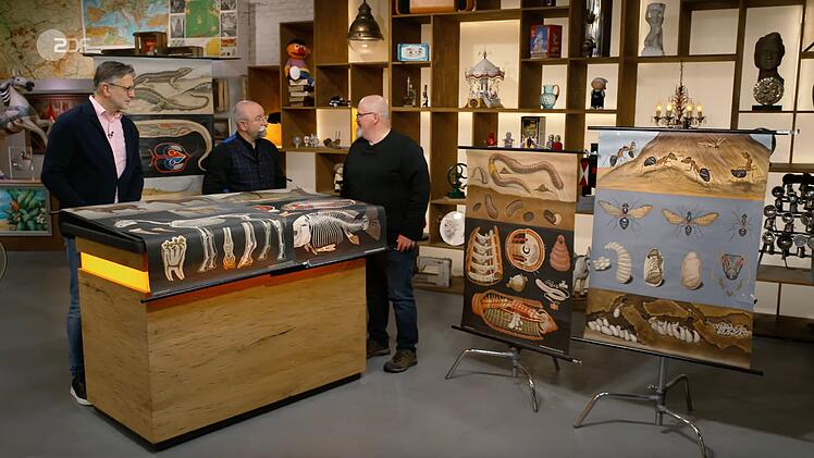 Detlev K&uuml;mmel datierte f&uuml;nf Schulrollkarten ab 1956 bis in die 1970er Jahre.