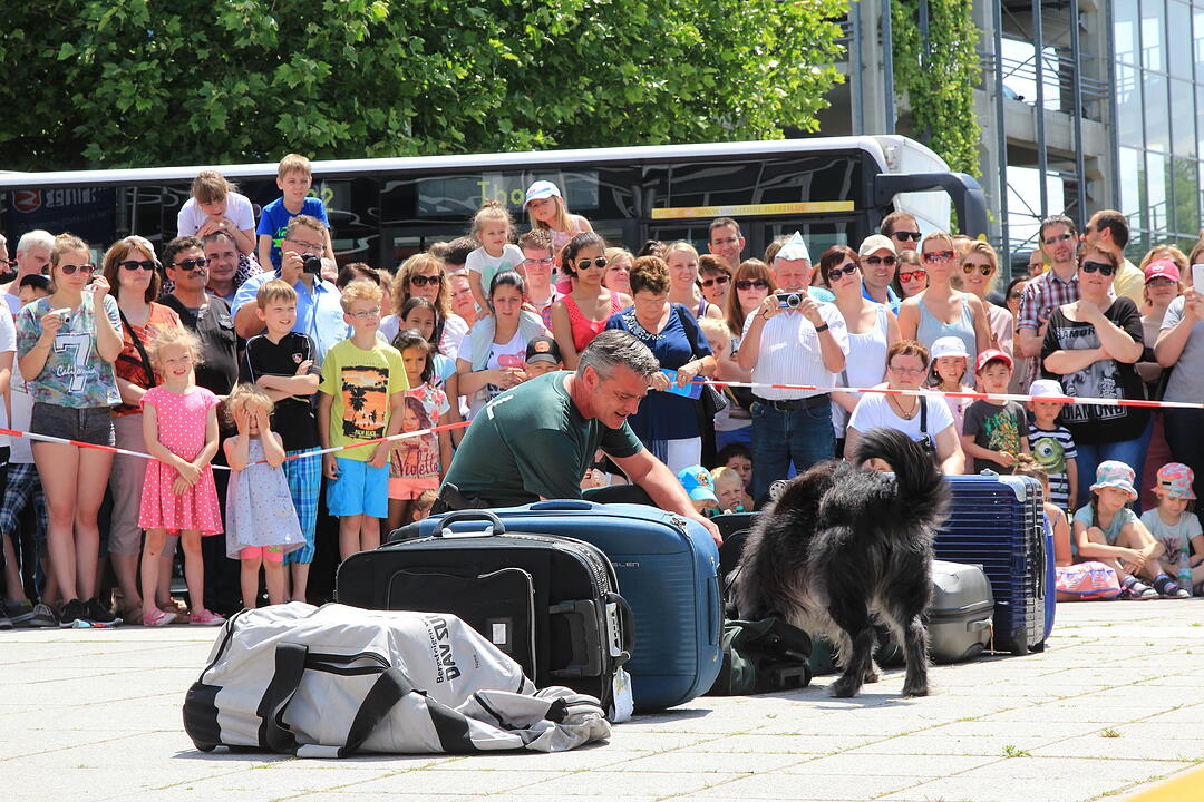 Airport (1)