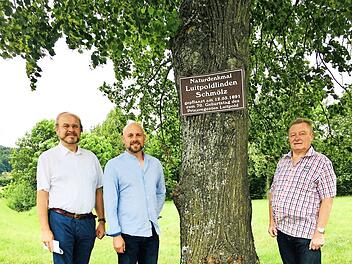 Kreisrat Ralf Pohl, Gemeinderat Alexander Kopp-Redwitz und SPD- Ortsvereinsvorsitzender Heinz Rebhan (von links) vor einer der vier Luitpold-Linden Foto: privat