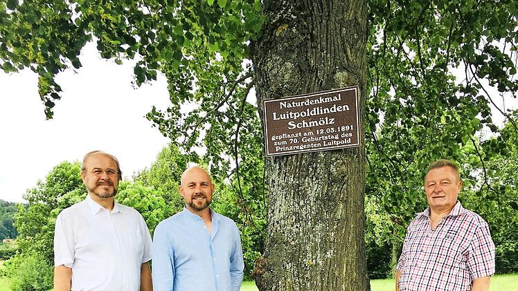 Kreisrat Ralf Pohl, Gemeinderat Alexander Kopp-Redwitz und SPD- Ortsvereinsvorsitzender Heinz Rebhan (von links) vor einer der vier Luitpold-Linden Foto: privat